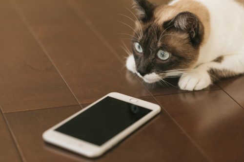 スマートフォン